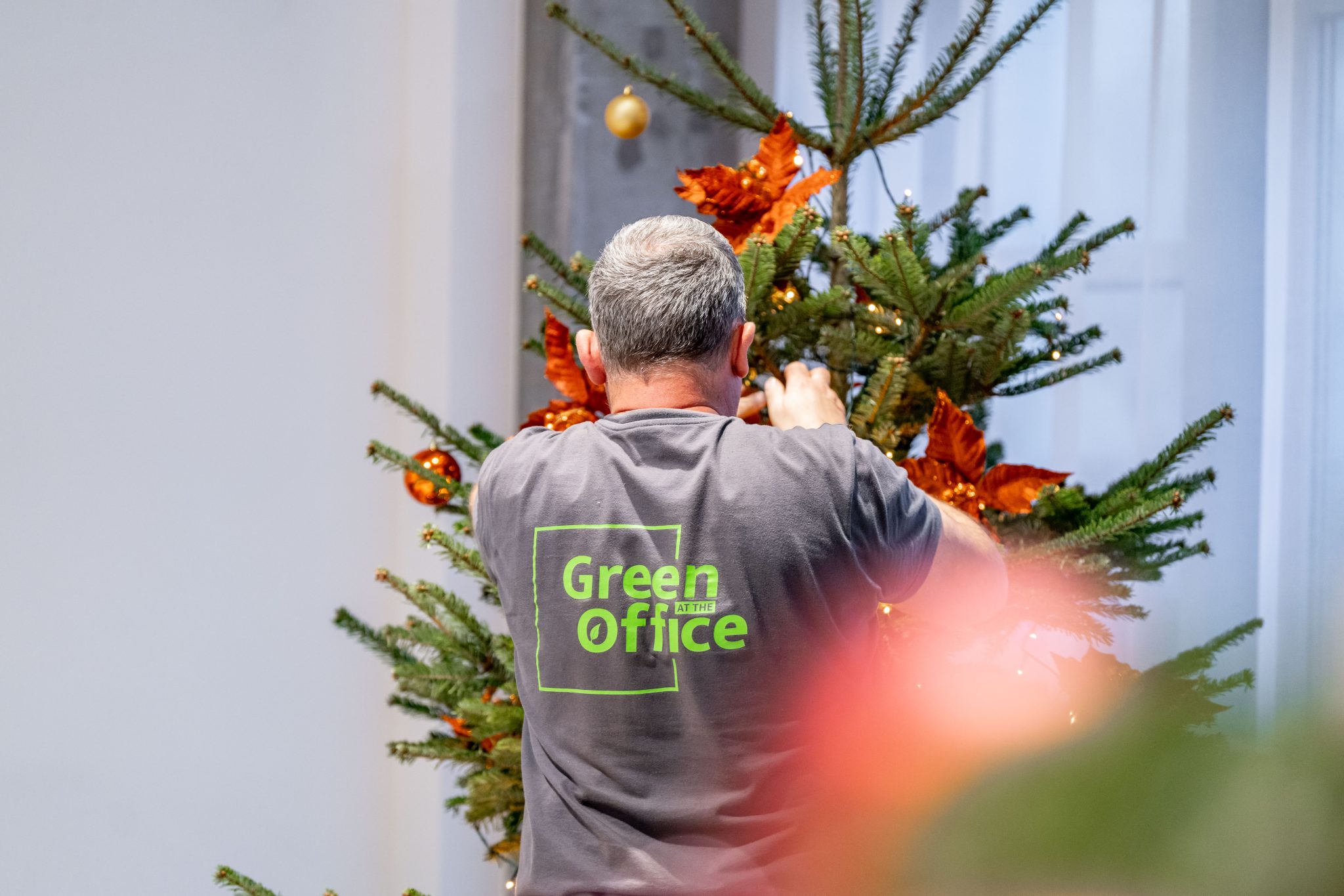 medewerker Green at the Office versiert een kerstboom - Collaborateur Green at the Office décore un sapin de Noël