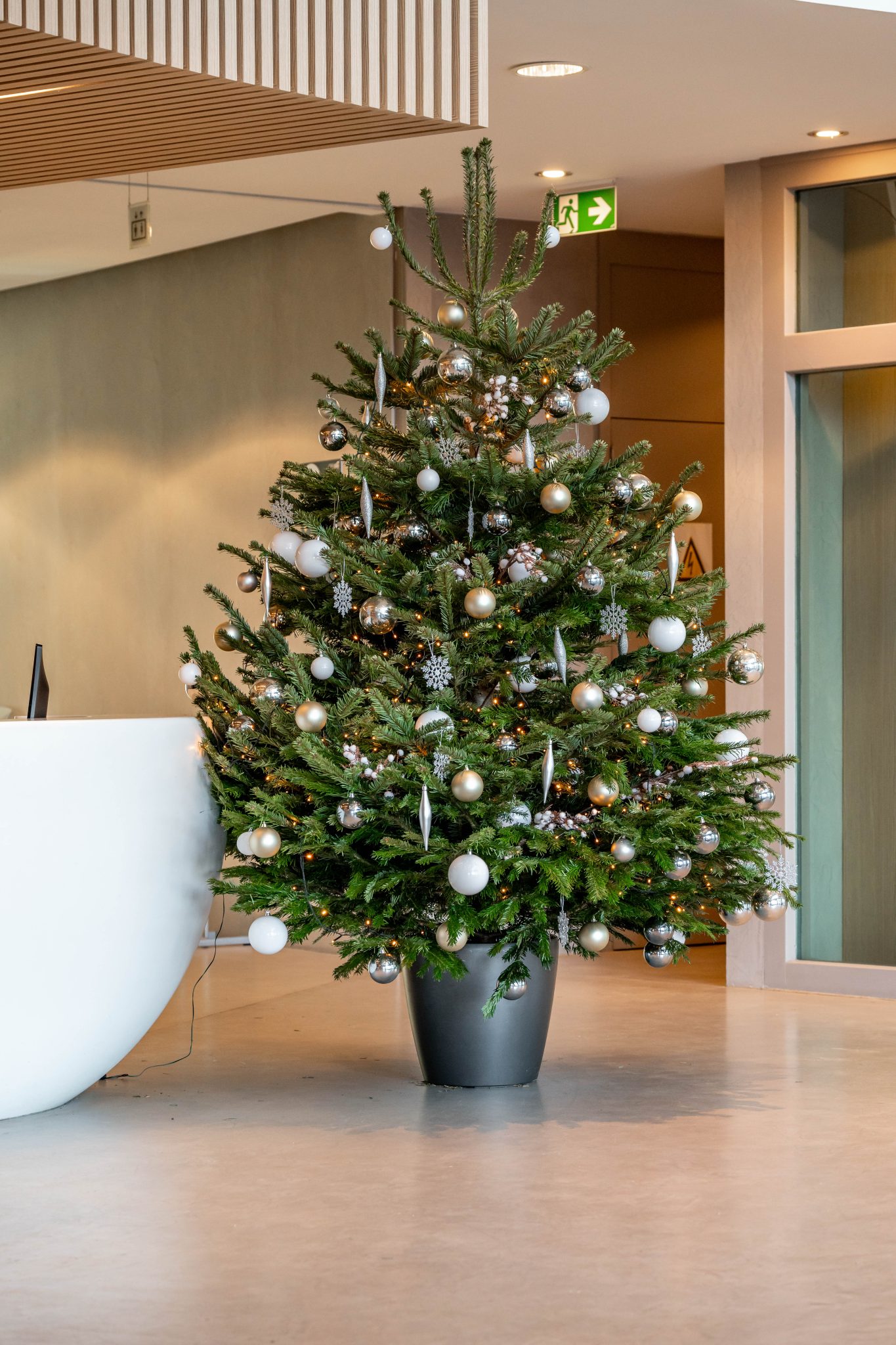 medewerker Green at the Office versiert kerstboom - Collaborateur Green at the Office décore un sapin de Noël