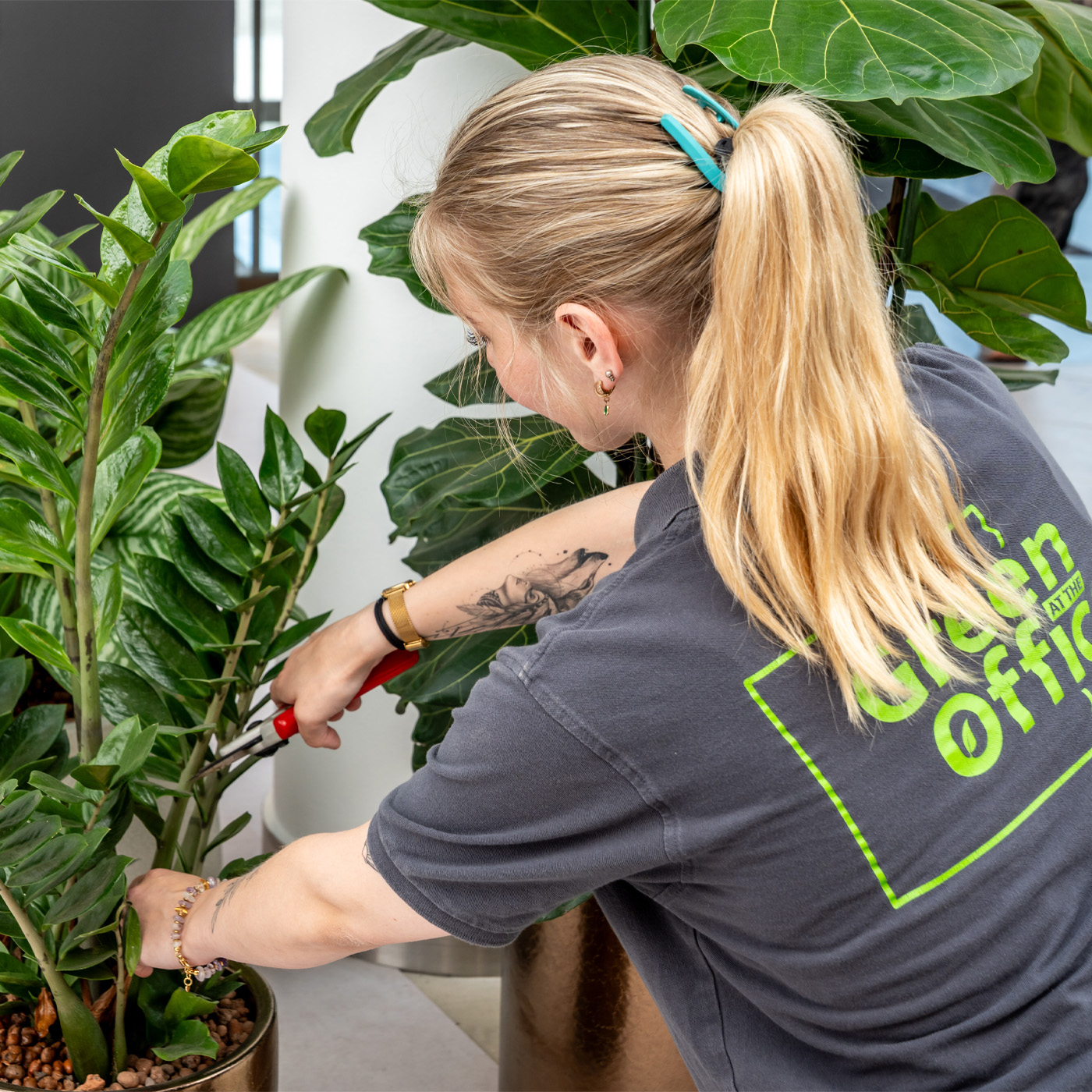 Employée entretenant une plante verte dans un bureau moderne - Medewerkster verzorgt een groene plant in een moderne kantoorruimte